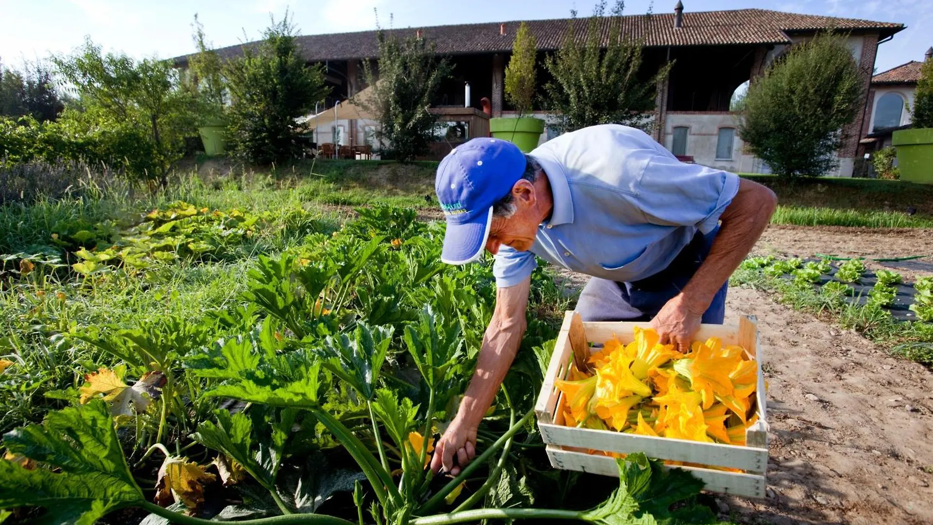 Agriturismo Cascina Caremma Besate