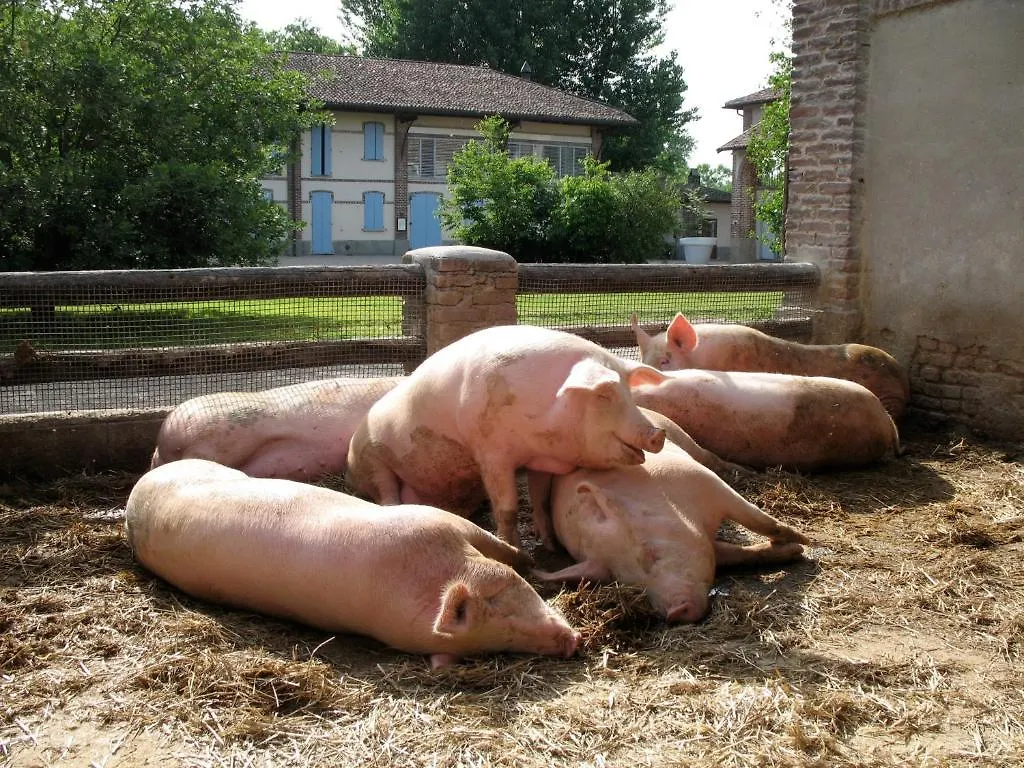 Agriturismo Cascina Caremma Besate
