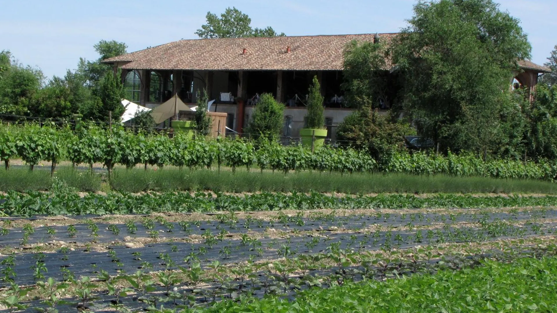 Alloggio per agriturismo Agriturismo Cascina Caremma Besate