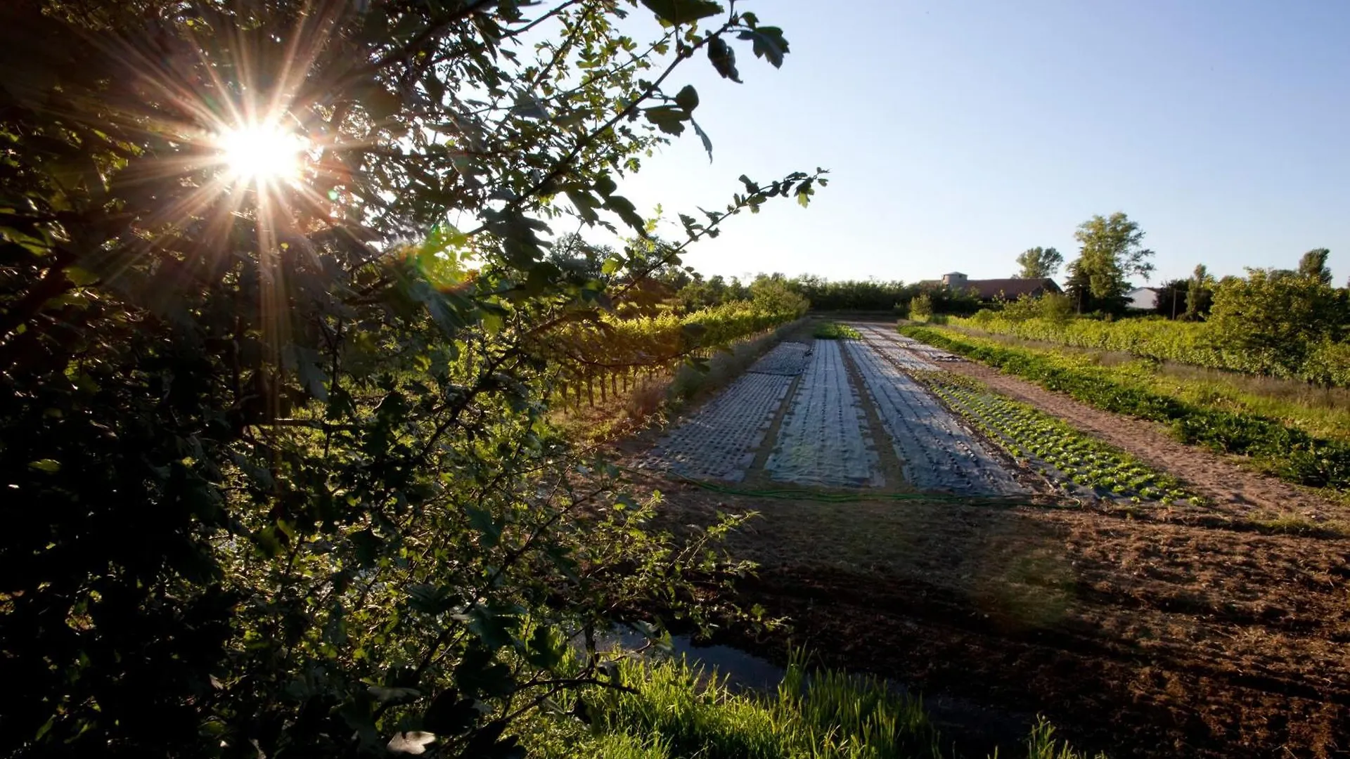 Agriturismo Cascina Caremma Besate 0*,  Italia